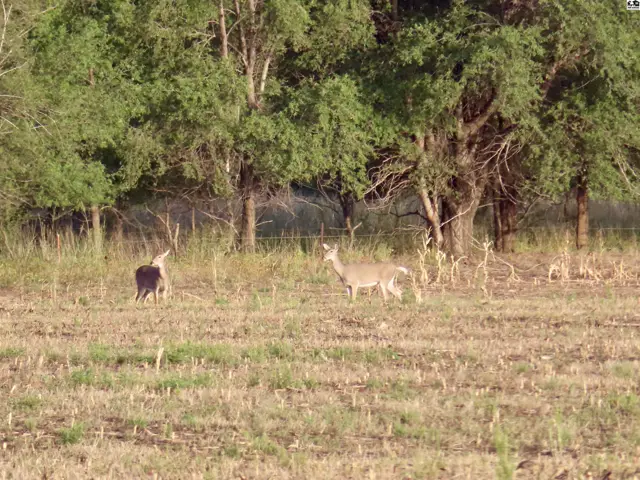 Photo of 00000 SE 150th, Cheney, KS