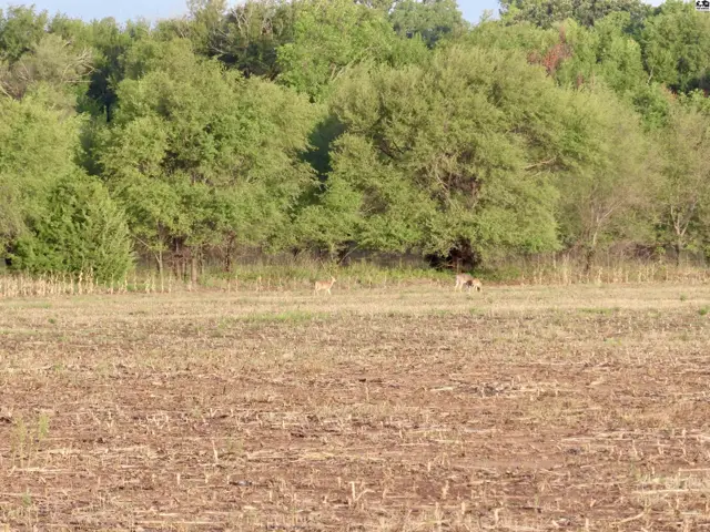 Photo of 00000 SE 150th, Cheney, KS