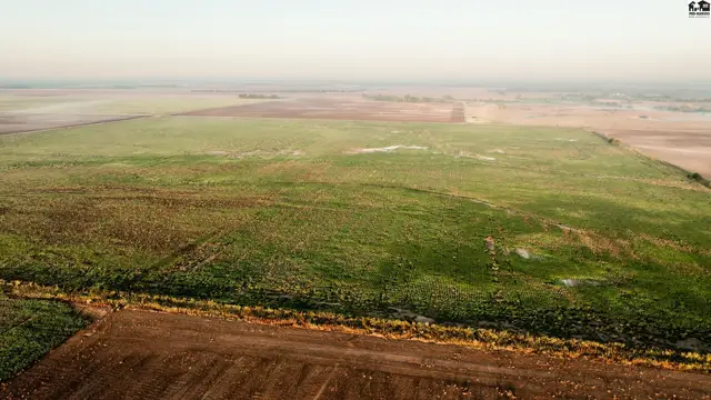 Photo of 000 S High Point Rd, Kingman, KS