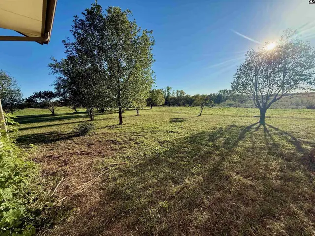 Expansive green lawn dotted with mature trees under a bright, sunny sky.