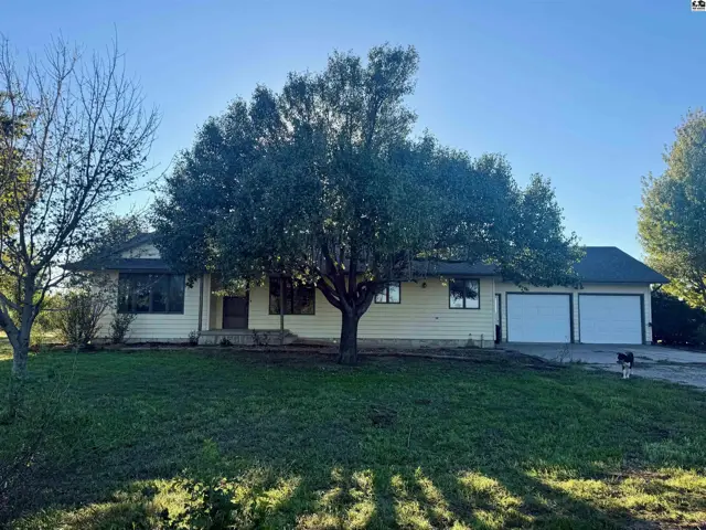 This light-yellow ranch-style home features a two-car garage and mature trees.