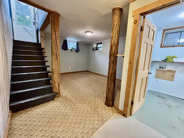 Carpeted basement room with wood-paneled walls, stairs, and two windows.
