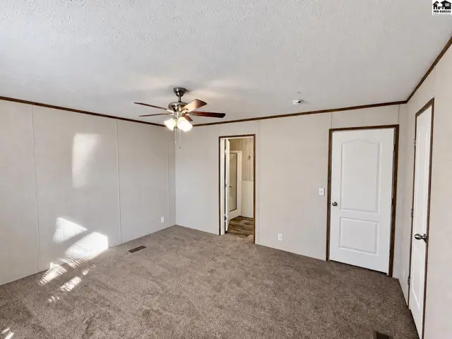 Spacious room with carpet, ceiling fan, and a doorway to an en-suite bathroom.