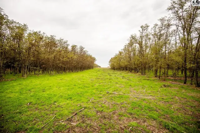 Photo of 00000 S Brownlee RD, Turon, KS