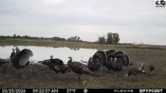 Photo of 00000 S Brownlee RD, Turon, KS