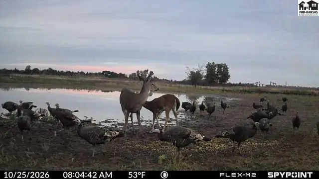 Photo of 00000 S Brownlee RD, Turon, KS