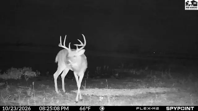 Photo of 00000 S Brownlee RD, Turon, KS