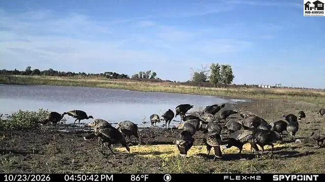 Photo of 00000 S Brownlee RD, Turon, KS